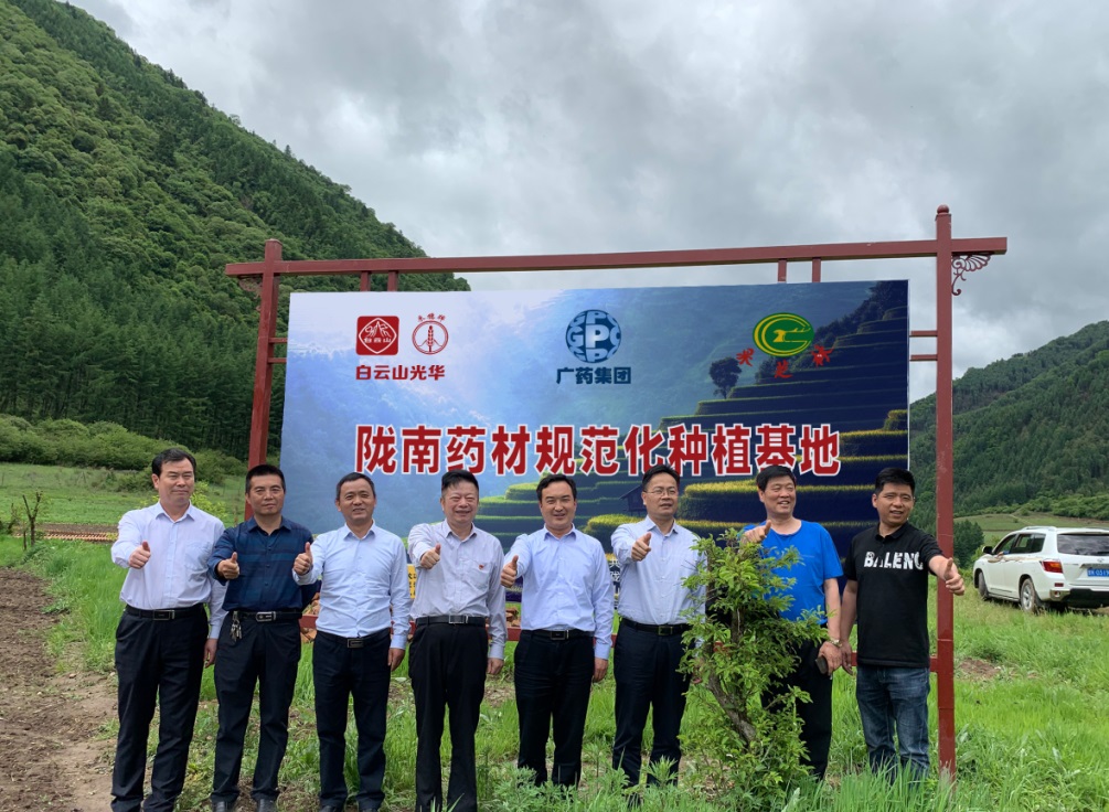 药材好，药才好 ——白云山幼柴胡颗粒北柴胡规范化种植基地正式揭牌！