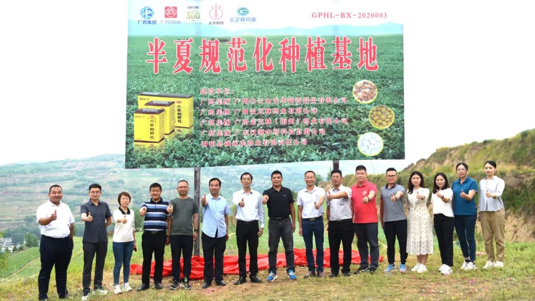 白云山j9国际集团公司实地调查调研中药材规范化基地
